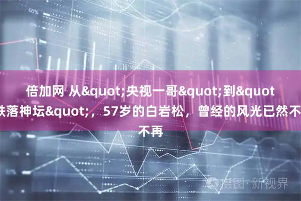 倍加网 从"央视一哥"到"跌落神坛"，57岁的白岩松，曾经的风光已然不再